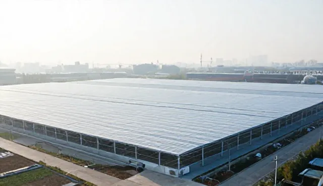 企业信息发布前,如何确保覆盖范围最大化